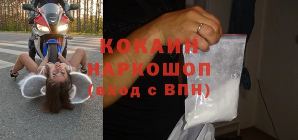спиды Бородино