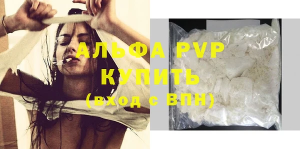 спиды Бородино