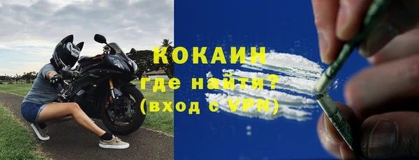 дживик Богданович
