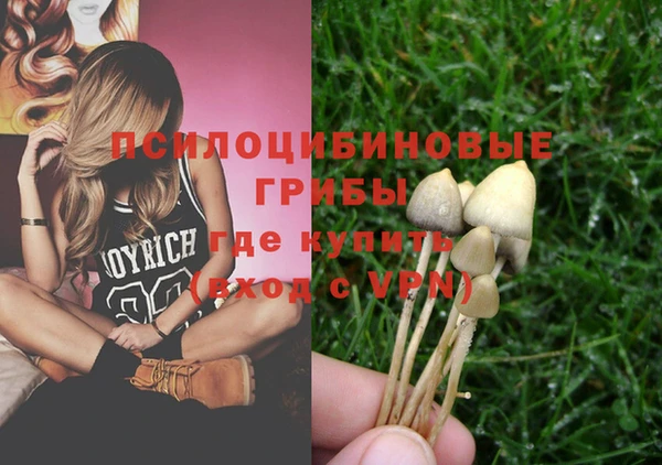 прущие крисы Бугульма