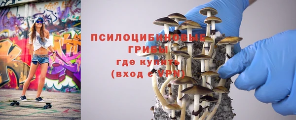 ешки Бронницы