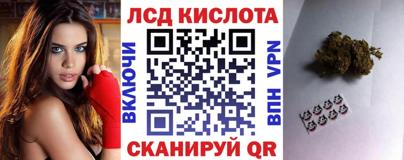 Наркотические марки 1500мкг  сколько стоит  Волосово 